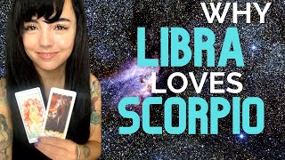 LIBRA AND SCORPIO♎❤️♏  LOVE COMPATIBILITY  SYNASTRY [upl. by Artemed]