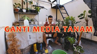 85 MARI KITA CEK TANAMAN JAPAN VERSION 植物をチェックしましょう [upl. by Malone]