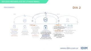 Estudio metabolico de litiasis renal IDIM [upl. by Ahsinit767]