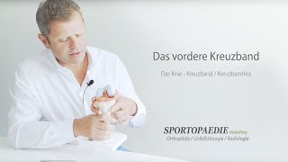 Das vordere Kreuzband  PD Dr med Nikolaus A Streich [upl. by Leahkim]