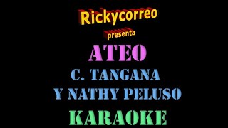 C Tangana Y Nathy Peluso Ateo KARAOKE [upl. by Enamrahc627]