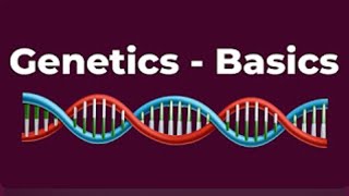 Developmental Psychology  BASICS OF GENETICS  Introduction to Genetics  DNA RNA Genes [upl. by Ardussi]