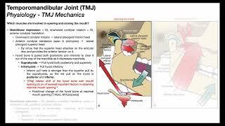 Temporomandibular Joint 😲  Biomechanics Part 22 [upl. by Lirpa615]