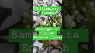 Philippines national flowers Sampaguita English name  jasmdn flower music dance lyrics subs [upl. by Adeehsar]