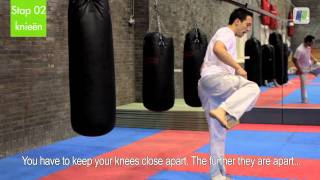 Taekwondo Tutorial Spinning back kick [upl. by Ailedroc]