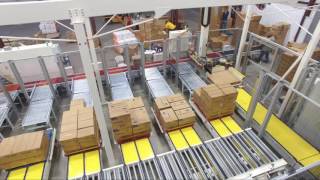 Gantry Package Palletizing  Sortation System by Sage Automation [upl. by Edyaw]