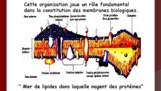 BIOCHIMIE TD Lipides [upl. by Llenaj]