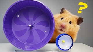 I Bought the SMALLEST Wheel for My Hamster [upl. by Zabrine921]