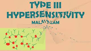 TYPE III HYPERSENSITIVITY REACTIONS  IMMUNE COMPLEX MEDIATED  MALAYALAM [upl. by Sidoney]