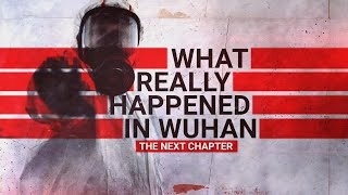 What Really Happened in Wuhan New evidence on COVID19 origins [upl. by Neztnaj]