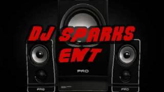 DJ SPARKSParty Starter Mix [upl. by Hammerskjold289]