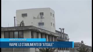 Margherita di Savoia  Riapre lo stabilimento di Atisale  TG TELEREGIONE 17 02 2018 [upl. by Atiker977]