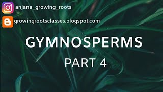 GYMNOSPERMS  Cycas reproductive structures  Vegitativeampsexual  Detailed explanation in malayalam [upl. by Gaeta]