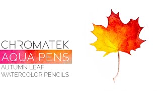 Aqua Pen amp Watercolor Pencil Tutorial  Autumn Leaf 03  Watercolor Tutorials by Chromatek [upl. by Yggep686]