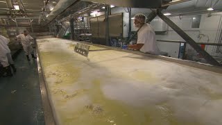 La fromagerie Boivin une affaire de famille depuis 1939 [upl. by Culbert]