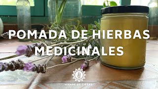 Como Hacer POMADAS DE PLANTAS MEDICINALES Pomadas naturales 🌿🌼 🌸🪴 [upl. by Furlani]