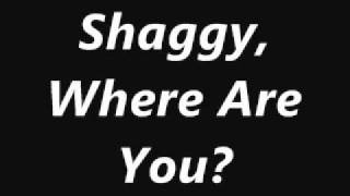 Shaggy Where Are You  Shaggy [upl. by Ahsik]