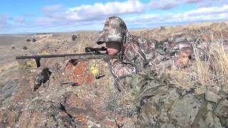 Coyote Control Specialists Episode4 Running Shot Calling Coyotes Predator Hunting [upl. by Gun232]