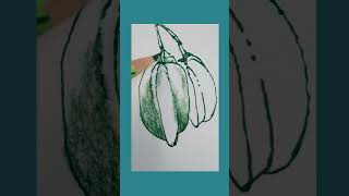 Melukis Buah  Belimbing Besi Watercolour pencils Ep 4 fruits fruitdrawing simpledrawing [upl. by Francene236]