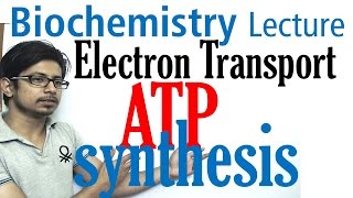 Complex IV of Electron Transport Chain [upl. by Aysan481]