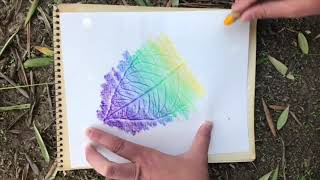 How to make a Leaf Rubbing with Crayons [upl. by Bethezel]