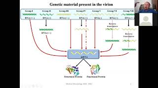 Adenoviruses Herpesviruses Poxviruses [upl. by Einad]