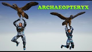 ARK Dev Kit  ARCHAEOPTERYX  The Parachute Dino [upl. by Ttennaej]