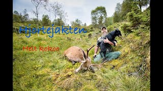 Hjortejakten Helt kokoo [upl. by Anitsirhk]