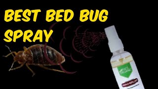 What Spray Kills Bed Bugs and Their Eggs Best Bed Bug Spray [upl. by Vinita972]