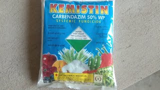 KEMISTIN Carbendazim 50 WP Systemic Fungicide [upl. by Rupert477]