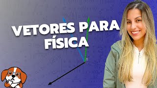 Vetores para física O que são grandezas vetoriais e como somar vetores  Física 1 [upl. by Idnak]