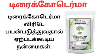 To promote plant growth Trichoderma Viride Powder [upl. by Fonseca739]