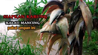 COBAIN KAIL DAN UMPAN INI UNTUK MANCING IKAN TAWES SIRIP MERAH ‼️ PART 2‼️ [upl. by Arriaes]