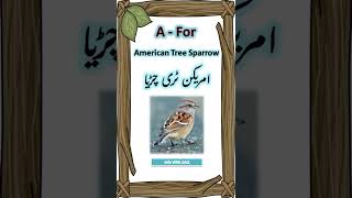 Bird Vocabulary Word List Part 1 [upl. by Donna]