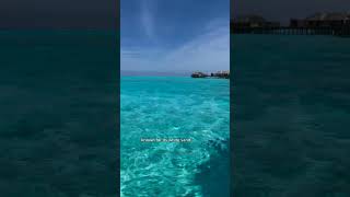 Maldives Magic A Dreamy Escape to Paradise viralvideo travel [upl. by Asilla601]