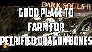 Good Place to Farm for Petrified Dragon Bone in Dark Souls 2 [upl. by Beyer]