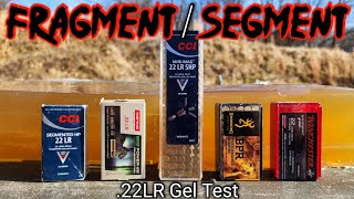 Fragmenting amp Segmenting 22LR Ballistic Gel Test [upl. by Rann]