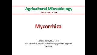 Mycorrhiza  Difference between endo and ectomycorrhiza  Benefits to plants  Symbiosis [upl. by Granese746]