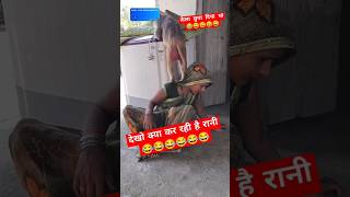 केला छुपा दिया था ऊपर ही चढ़ गई 😂 bshorts viral rplovevlogs ranimonkey [upl. by Yllatan626]