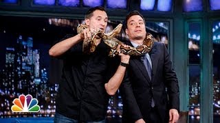 Jeff Musial Baby Kangaroo Cougar Boa Constrictor Part 1 Late Night with Jimmy Fallon [upl. by Finny760]