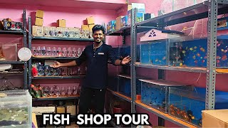 Our Fish Shop Tour 🐠 நம்ம கடை இப்போ எப்படி இருக்கு 🥰 Fish Shop Update🦈 [upl. by Ahsaelat109]