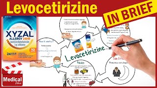 Levocetirizine 5 mg  Xyzal  What is Levocetirizine Used For Dosage Side Effects amp Precautions [upl. by Milty847]