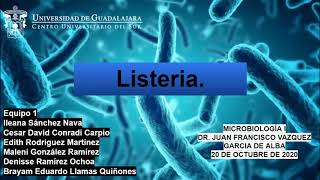 Listeria Monocytogenes [upl. by Fuchs]