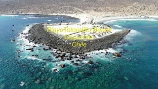 Playa Totoralillo Beach Coquimbo Chile Drone footage [upl. by Auguste]