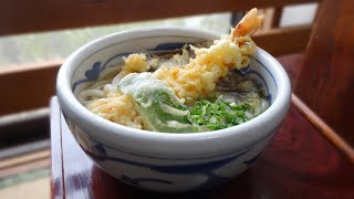 【天然出汁100の上品で美味しいうどん】サービス店の最高峰讃岐うどんの名店【うどん亭いわせ】香川県さぬき市うどん･ラーメン･そば [upl. by Mazur222]