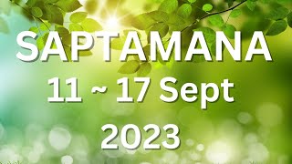 SAPTAMANA 11  17 SEPT 2023 TOATE SEMNELE♈♉♊♋♌♍♎♏♐♑♒♓ tarot [upl. by Ladin18]