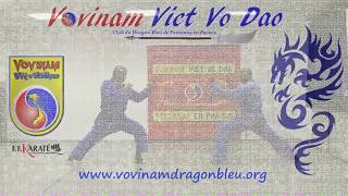 Vovinam Techniques de Ciseaux par Gilles CROZONCAZIN Club Vovinam Aérobic [upl. by Akiemaj]