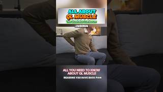 QL Muscle  All You Need To Know About QL  Quadratus Lumborum Muscle backpain muscle shorts [upl. by Chirlin]