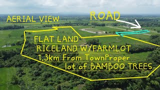 149 HAS RICELANDFARMLOT 13KM FROM TOWNPROPER AERIAL VIEW [upl. by Gnud]