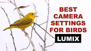 Should you use Spot Metering for Wildlife Photography [upl. by Warfore274]